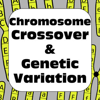 Preview of Genetics Meiosis Chromosome Crossover & Genetic Variation High School Biology