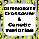 Genetics Meiosis Chromosome Crossover & Genetic Variation 