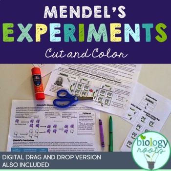 Preview of Genetics Mendel Activity