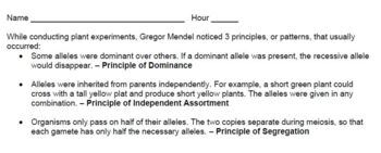 Preview of Genetics: Mendel's 3 Principles INDEPENDENT Introduction