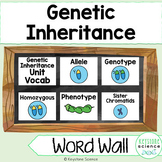 Genetics, Mendelian & Non-Mendelian Inheritance Word Wall 