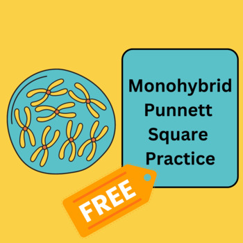 Preview of Genetics: Monohybrid Punnett Square Practice