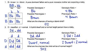 Genetics Monohybrid Punnett Square Practice Packet (24 Problems)