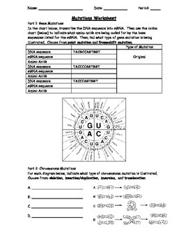 Genetic Mutations Worksheet Using a Codon Chart by The Biotic Factor