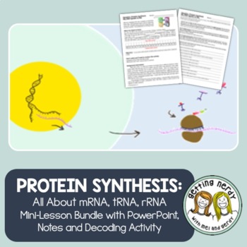 Preview of Protein Synthesis - mRNA, DNA, rRNA PowerPoint and Handouts - Distance Learning