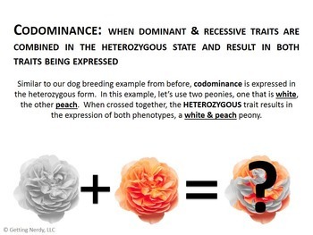 regression analysis clipart flowers