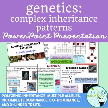 Preview of Genetics-  Patterns of Inheritance