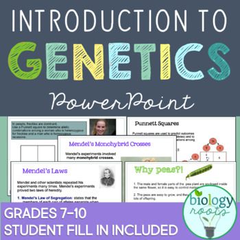 Preview of Genetics Notes: Introduction to Genetics PowerPoint