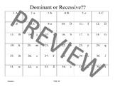 Genetics Practice- Dominant/Recessive/Hetero and Homozygous