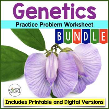 Preview of Genetics Practice Problem Bundle - Punnett Squares