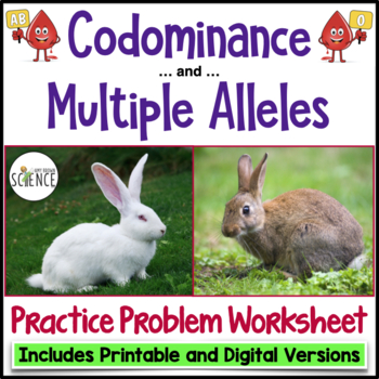 Codominance and Multiple Alleles Genetics Worksheet Punnett Squares