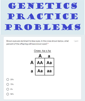 Preview of Genetics Practice Problems with Punnett Squares-Distance Learning 