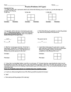 Genotype Vs Phenotype Worksheet Answers - Worksheet List