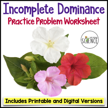 Preview of Incomplete Dominance Worksheets Non Mendelian Genetics