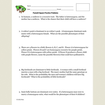 Featured image of post Answer Key Punnett Square Worksheet Heredity online worksheet for middle school