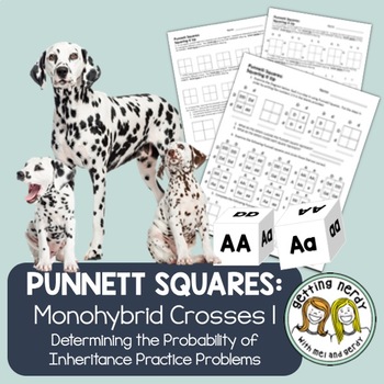 Preview of Genetics Monohybrid Cross Punnett Square Practice 1