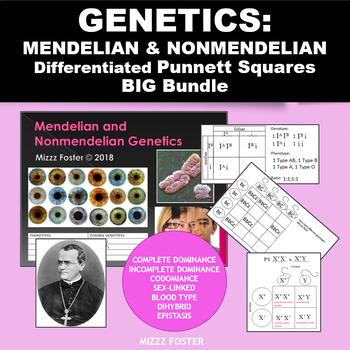 Preview of Genetics: Punnett Squares, Mendel, Non-Mendelian Heredity Differentiated