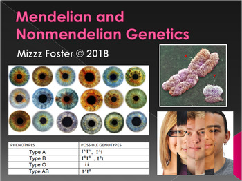 Preview of Genetics: Punnett Squares, Mendel, Non-Mendelian PowerPoint