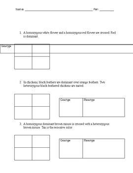 Genetics - Punnett square worksheet or test by Shaner's Toolbox | TpT