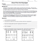Karyotype Worksheets & Teaching Resources | Teachers Pay Teachers