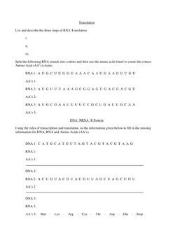 Genetics - Replication, Transcription & Translation WS by Dokimi ...