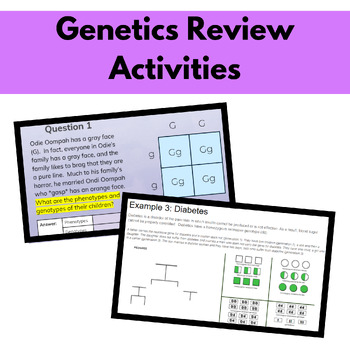 Preview of Genetics Review Activities: Pedigrees & Identifying Patterns of Inheritance