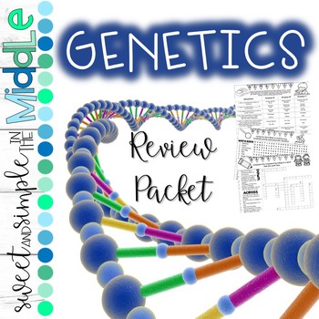 Preview of Genetics Review Bundle