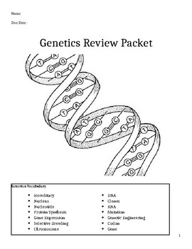 Preview of Genetics Review Packets