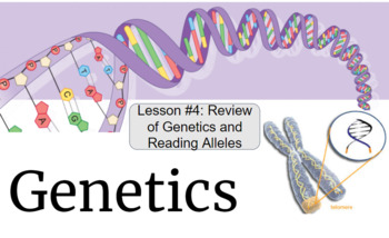 Genetics Review & Reading Alleles by Keyack's Classroom | TPT