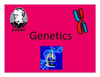 Preview of Genetics Simplified / A Brief Introduction with Activities