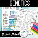 Genetics Sketch Notes (Doodle Notes)