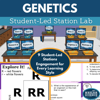 Preview of Genetics Student-Led Station Lab