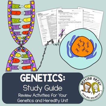 Preview of Genetics Study Guide Review Packet