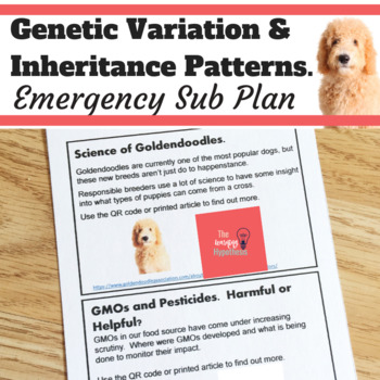 Preview of Genetics Sub Plan. Heredity Activity. Patterns of Inheritance