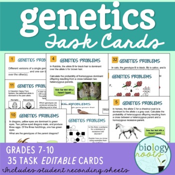 Preview of Genetics Task Cards