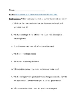 Preview of Genetics: Thomas Morgan & Fruit Flies Video with Questions and Answer Key