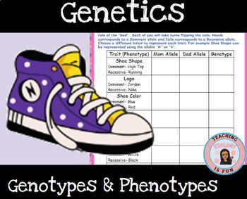 Preview of Genetics (Traits, heredity, punnett squares, dominant, recessive) Tennis Shoe