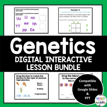 Preview of Genetics Unit Digital Interactive Lesson Bundle