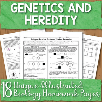 Preview of Genetics Unit Homework Worksheet Bundle