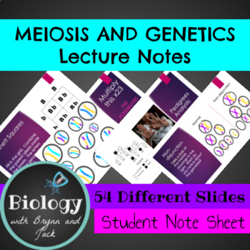 Preview of Meiosis and Genetics Unit Notes