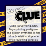 Genetics Unit Review- Crime Solving Clue Activity