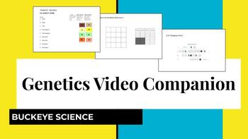 Preview of Genetics Video Companion for Buckeye Science Youtube Channel