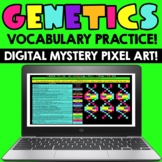 Genetics Vocab! Google Mystery Pixel Art! Self-Checking! D