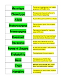 Genetics and Heredity Vocabulary Sort/Quiz