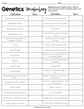 genetics vocabulary worksheet with differentiation by science from the