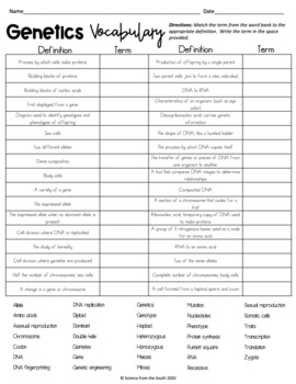 genetics vocabulary worksheet with differentiation by science from the south