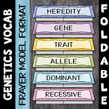 Preview of Genetics Vocabulary Foldable - Set 1 - Great for Interactive Notebooks