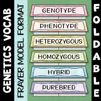Preview of Genetics Vocabulary Foldable - Set 2 - Frayer Model Format