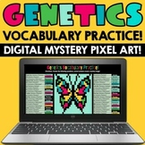 Genetics Vocabulary! Google Digital Mystery Pixel Art! Dis