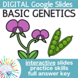 Genetics Vocabulary & Punnett Squares Interactive Google S